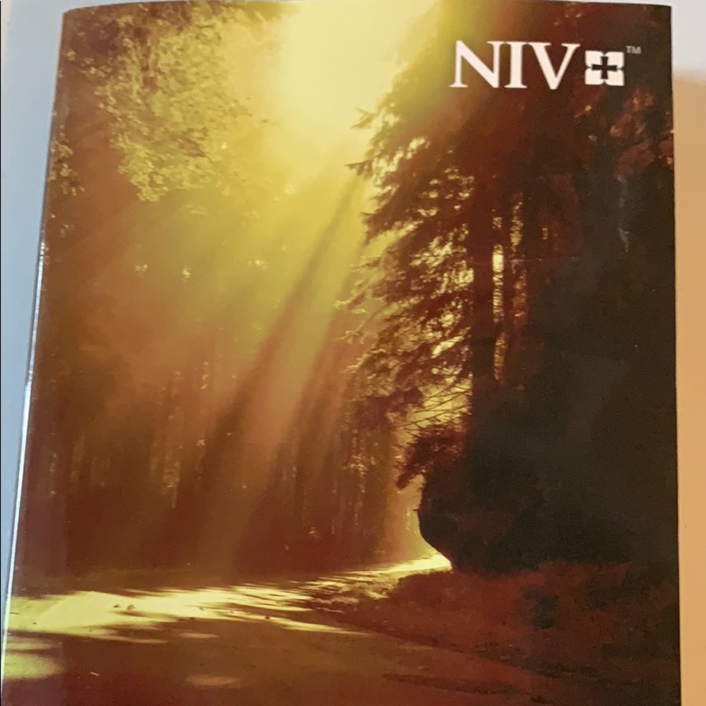 NIV bible